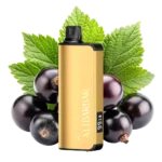 alibarbar-ingot-ribena.webp